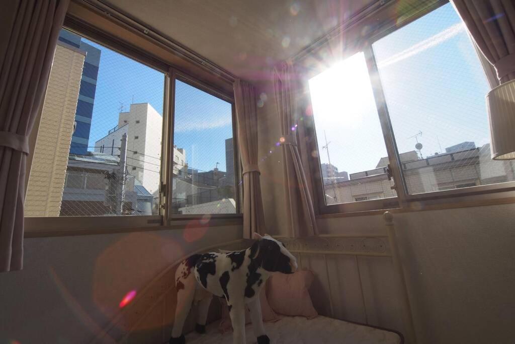 【Great Location!】Near Shinjuku Sta./Girls #302 Apartment โตเกียว ภายนอก รูปภาพ
